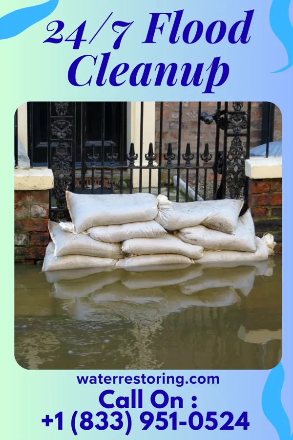 24/7 Flood Cleanup in Hampton, GA
