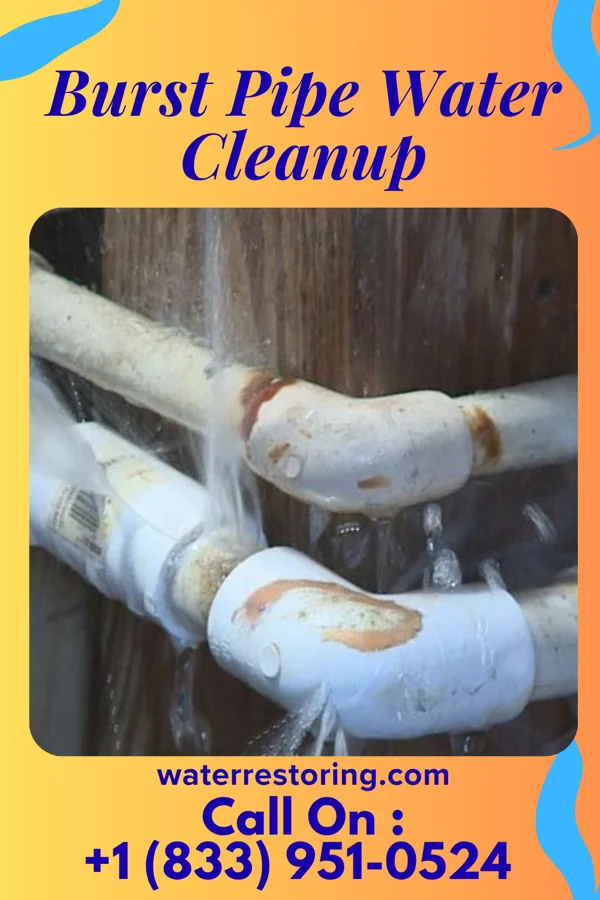 Burst Pipe Water Cleanup in Hampton, GA