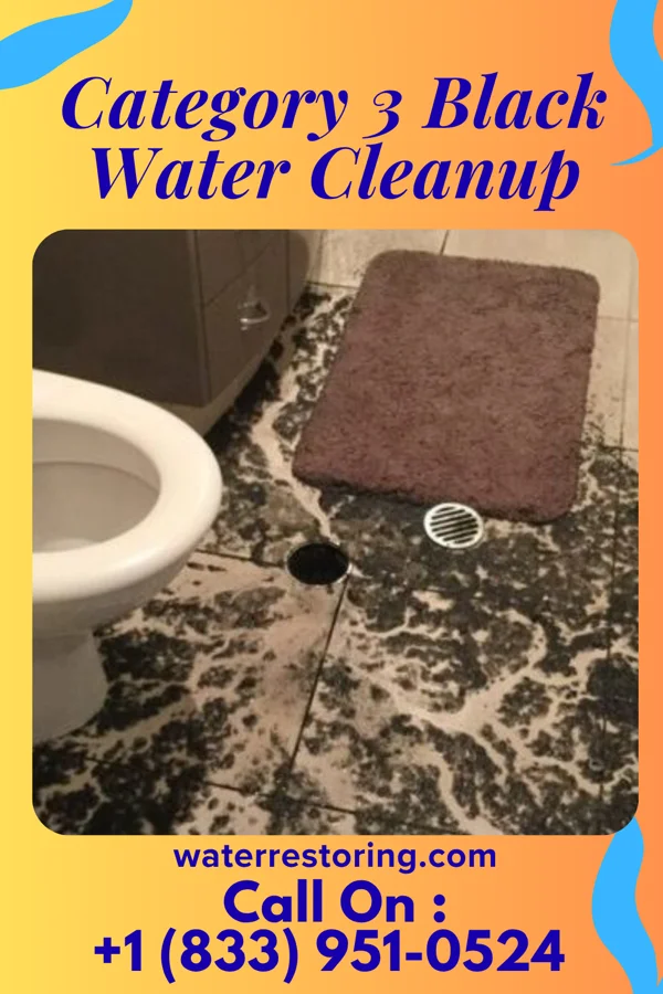 Category 3 Black Water Cleanup in Hampton, GA